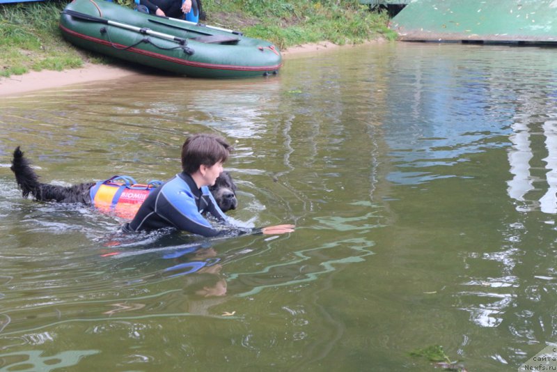 Фотография № 190419