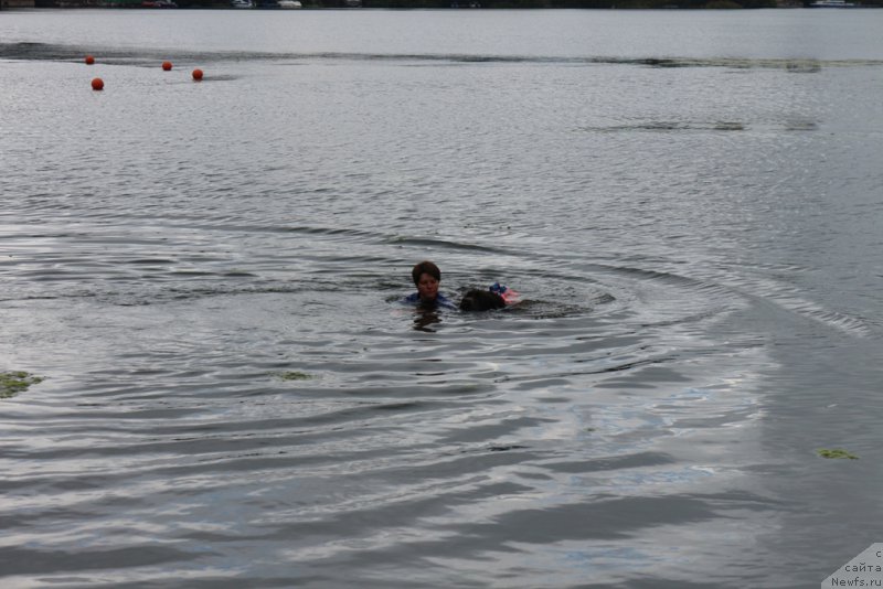 Фотография № 190421