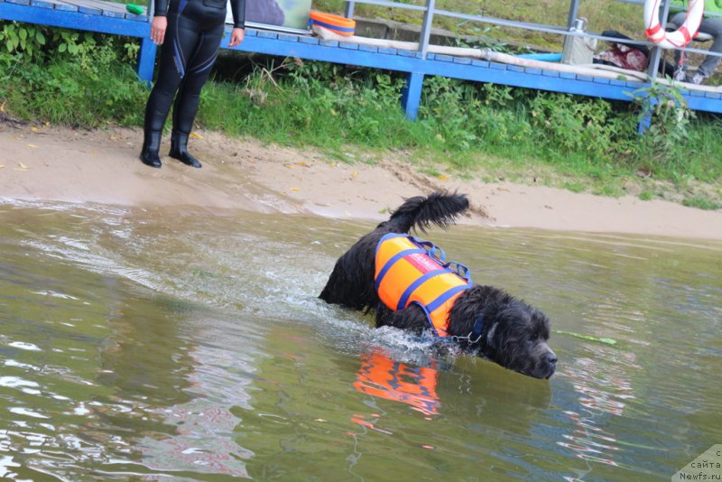 Фотография № 190422