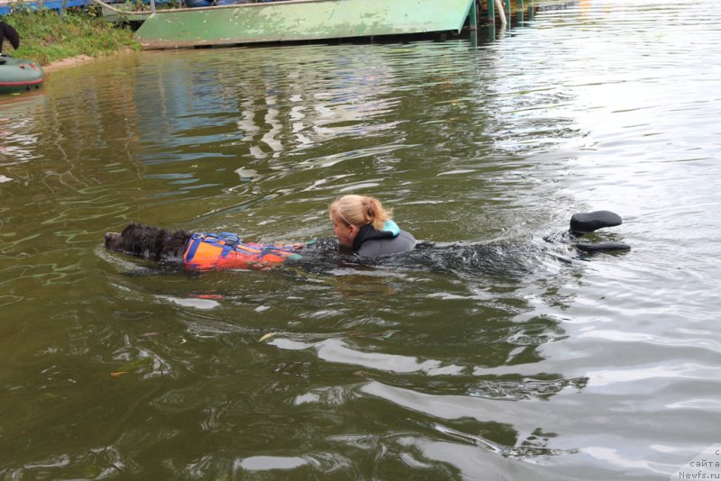 Фотография № 190423