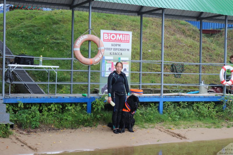 Фотография № 190425