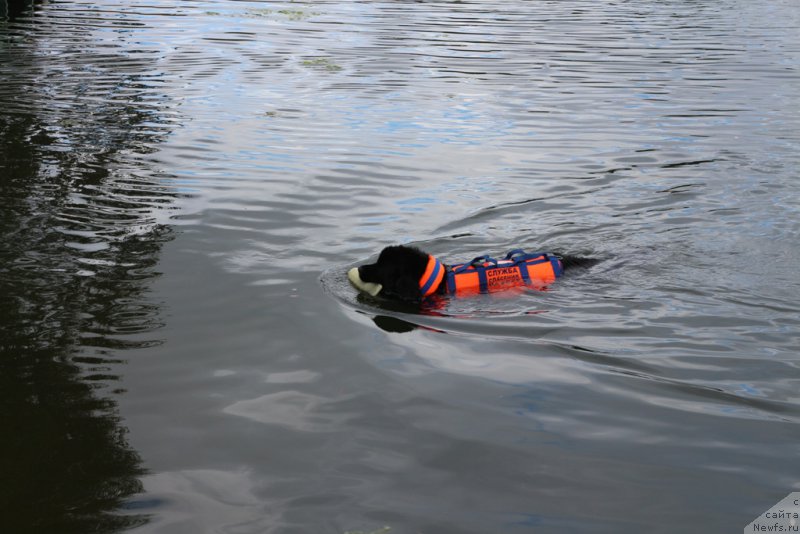 Фотография № 190426