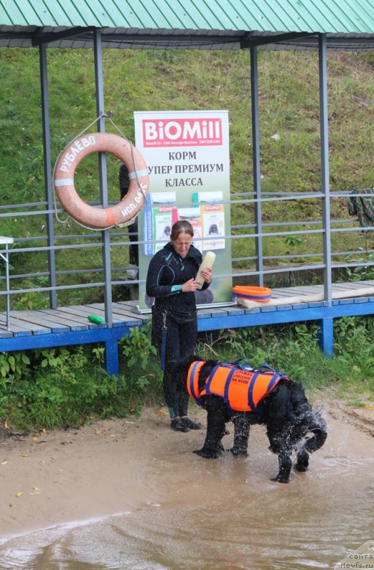 Фотография № 190427