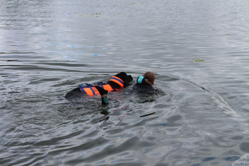 Фотография № 190428