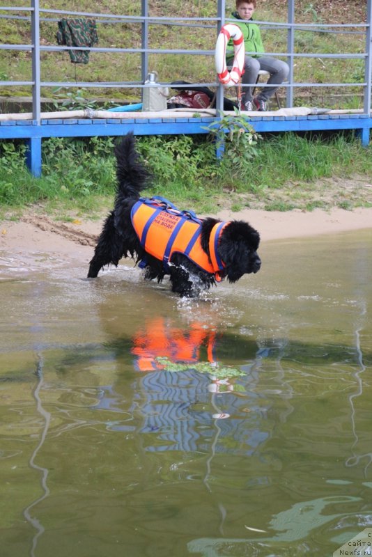 Фотография № 190432