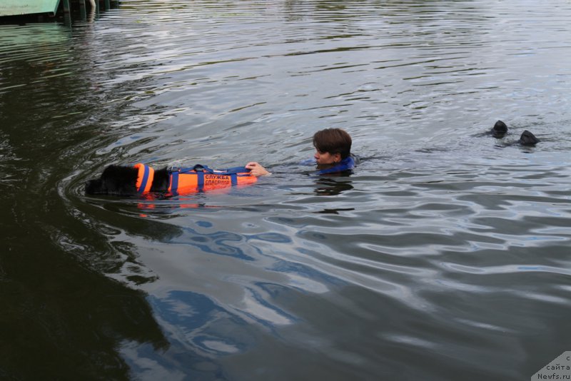 Фотография № 190434