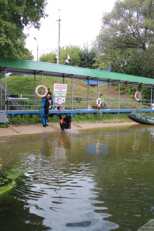 Фотография № 190437