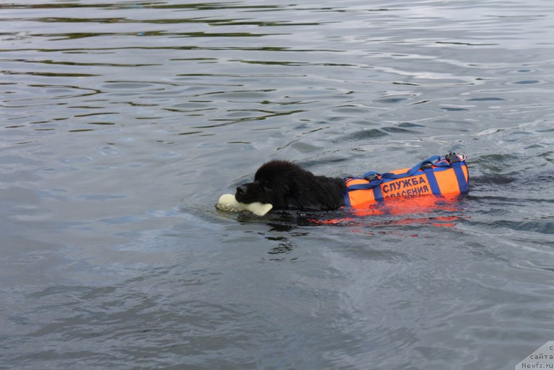 Фотография № 190439