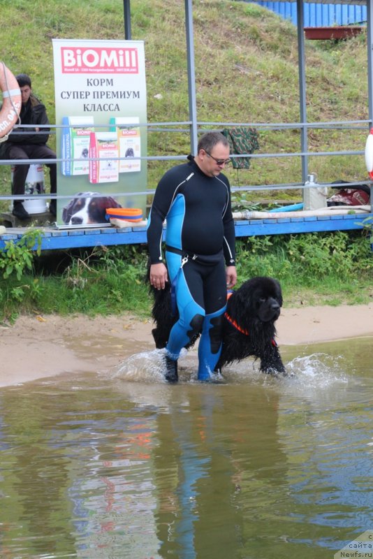 Фотография № 190440