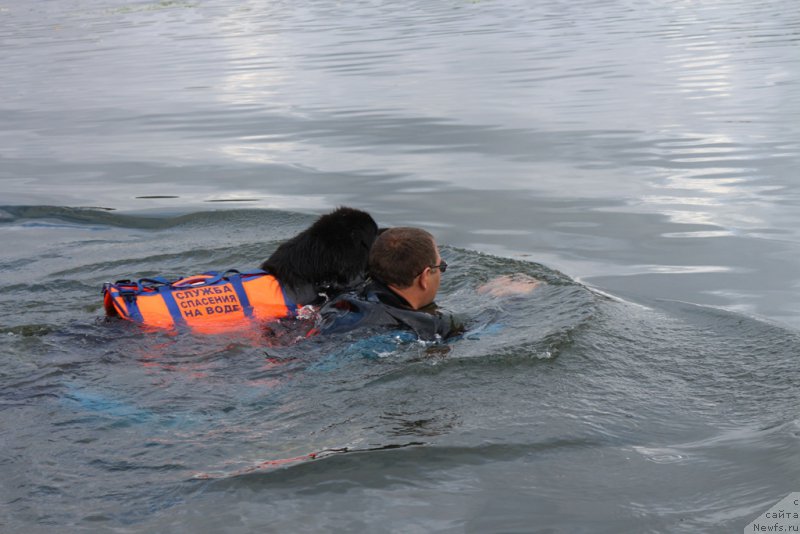 Фотография № 190442