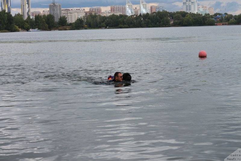 Фотография № 190443