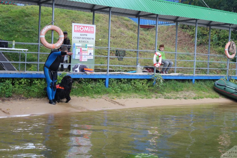 Фотография № 190445