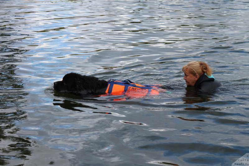 Фотография № 190448