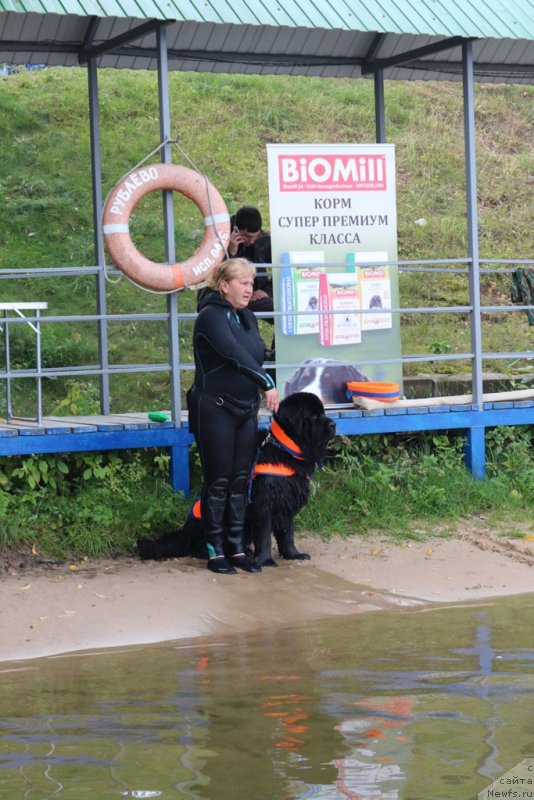 Фотография № 190450