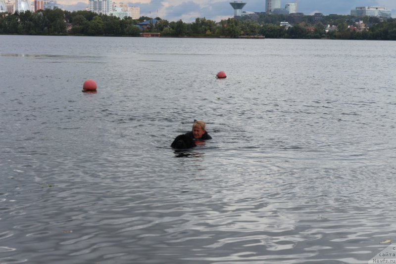 Фотография № 190454