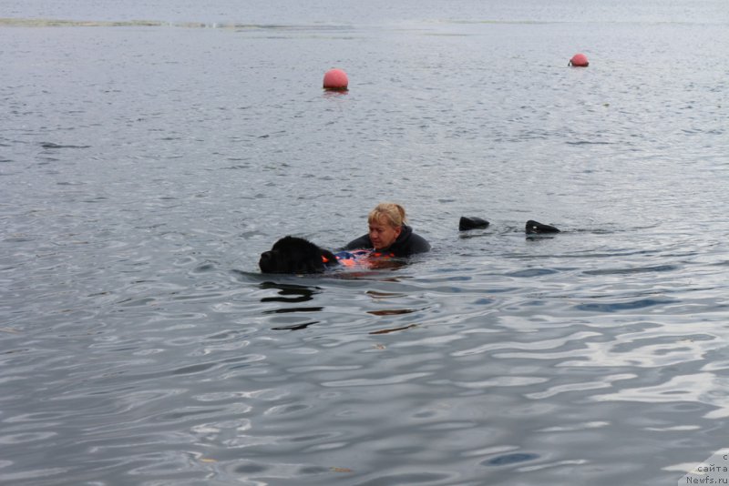 Фотография № 190455