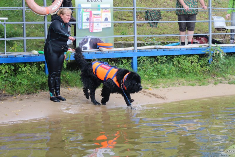 Фотография № 190456