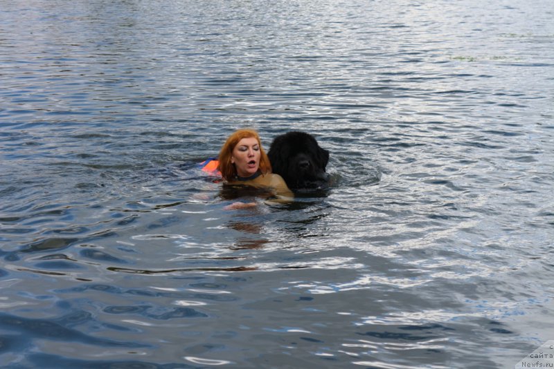 Фотография № 190457