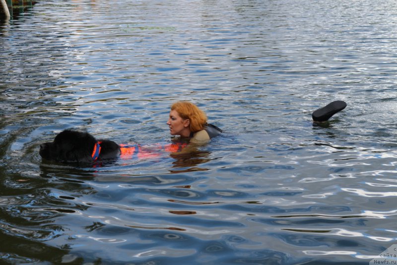 Фотография № 190458