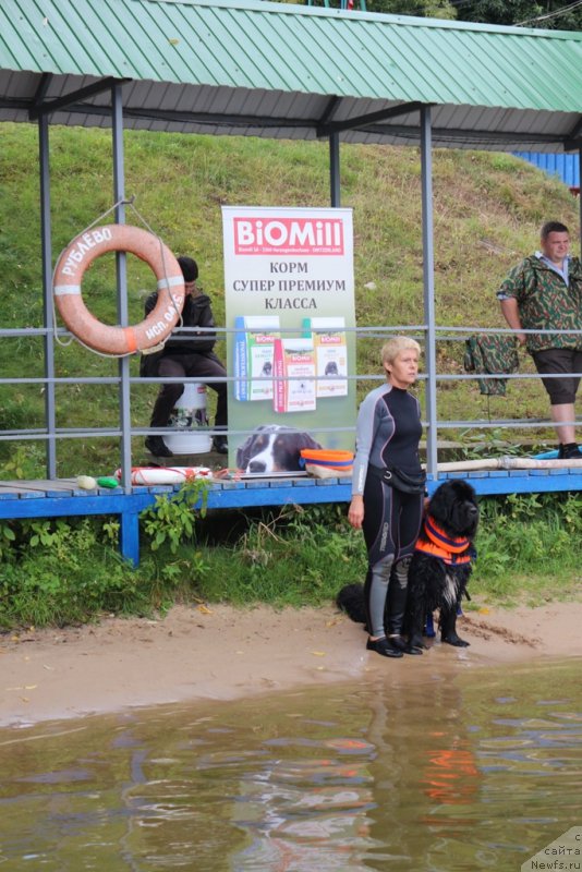 Фотография № 190462