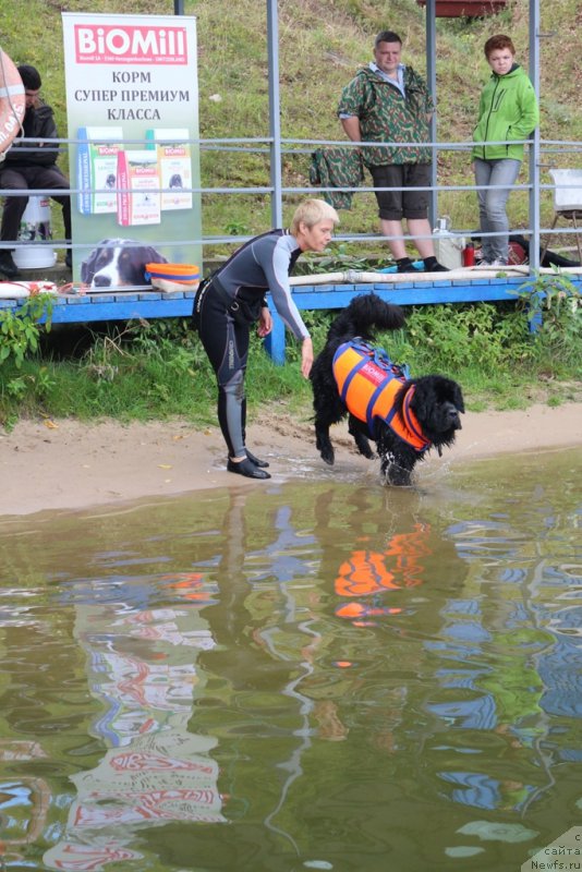 Фотография № 190464