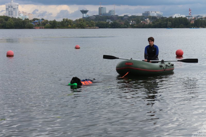 Фотография № 190466