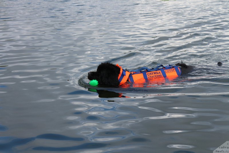 Фотография № 190467