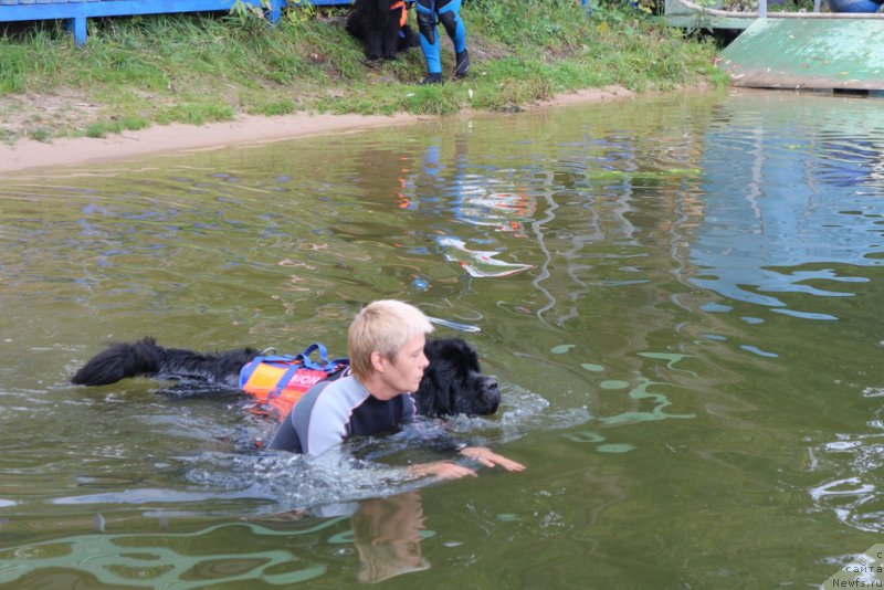 Фотография № 190468