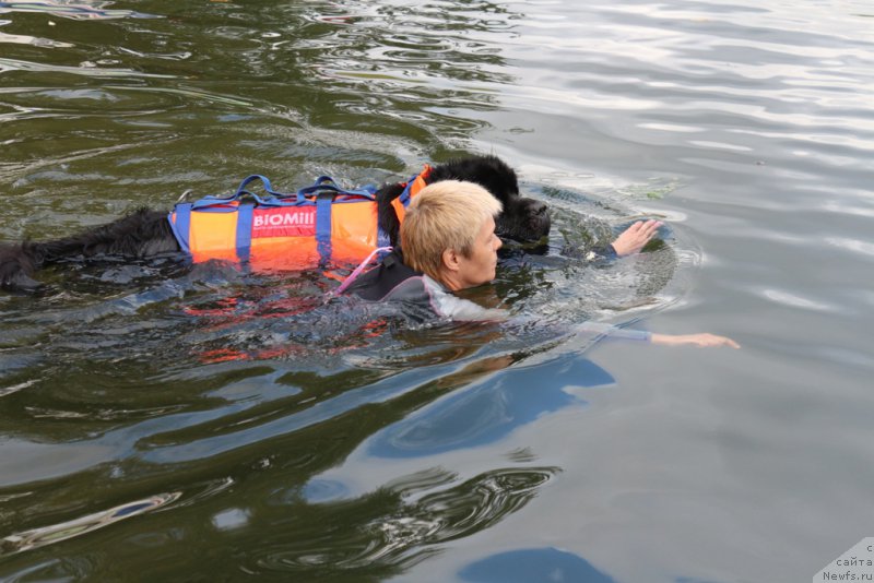 Фотография № 190469