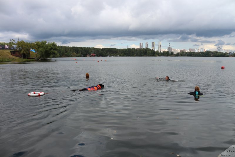 Фотография № 190471