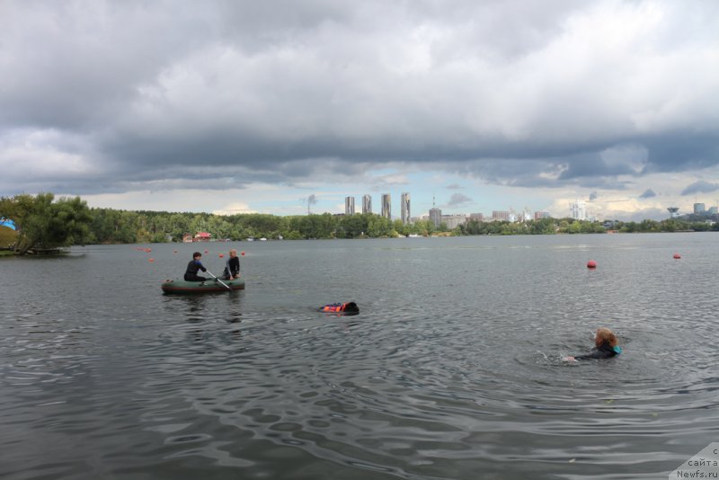 Фотография № 190477