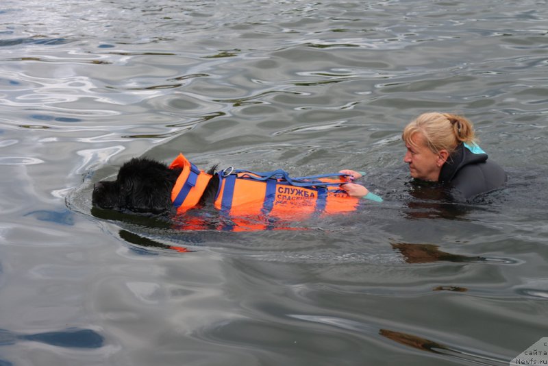 Фотография № 190478