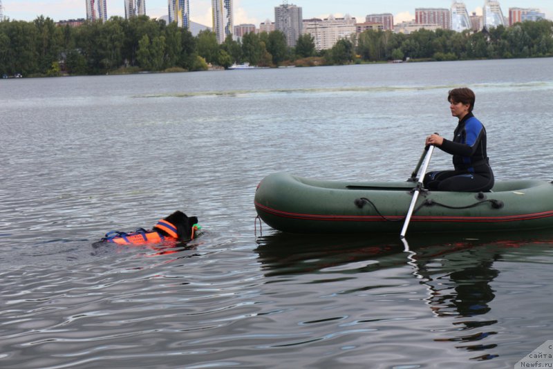 Фотография № 190481