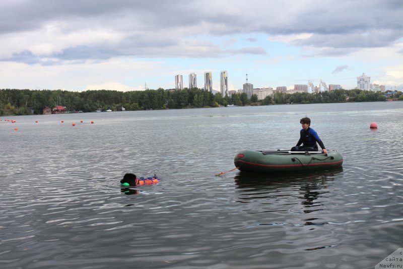 Фотография № 190482