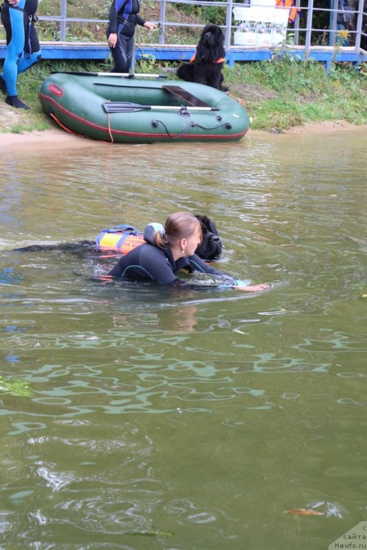 Фотография № 190483