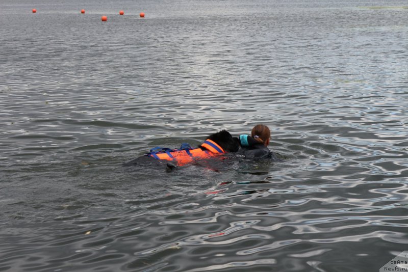 Фотография № 190484