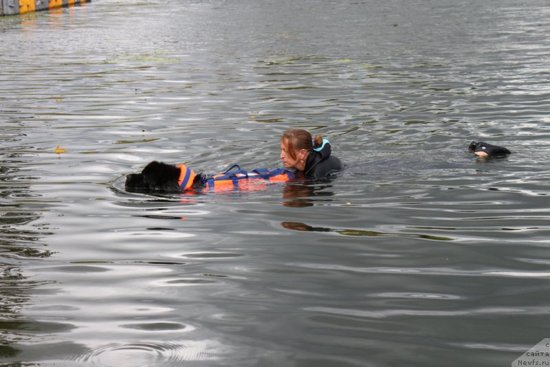 Фотография № 190486