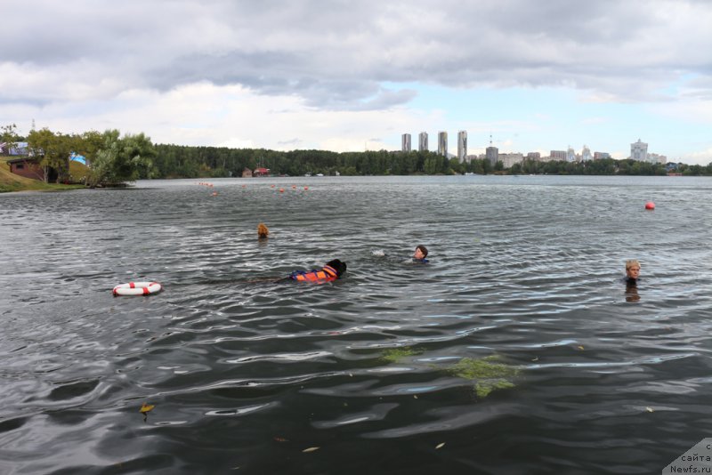 Фотография № 190487