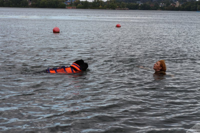 Фотография № 190493