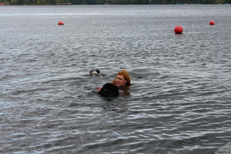 Фотография № 190494