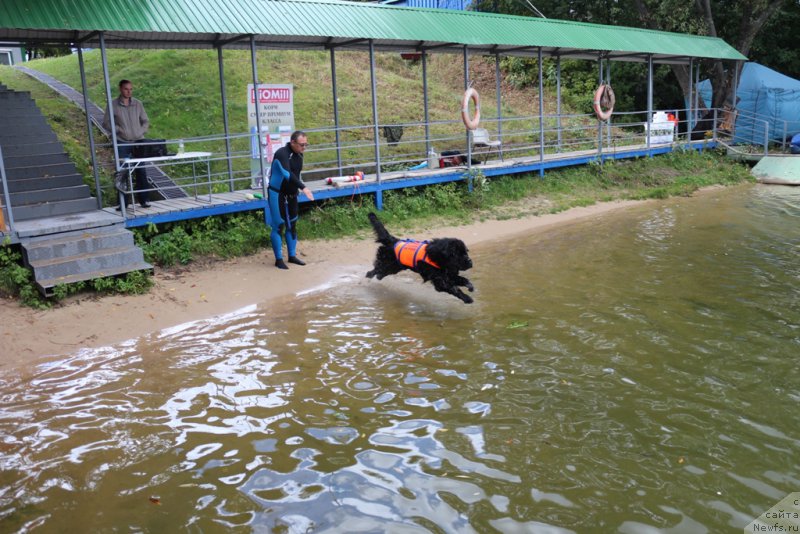 Фотография № 190496