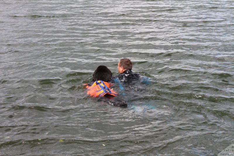 Фотография № 190500