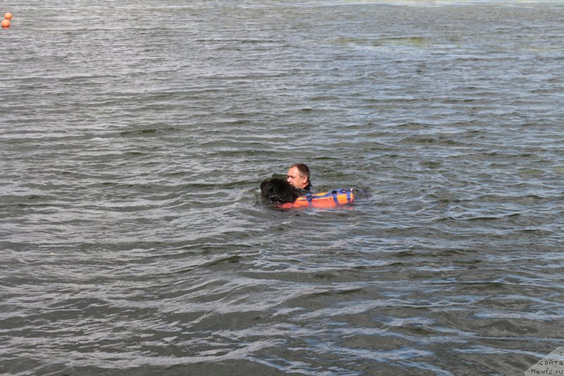 Фотография № 190501