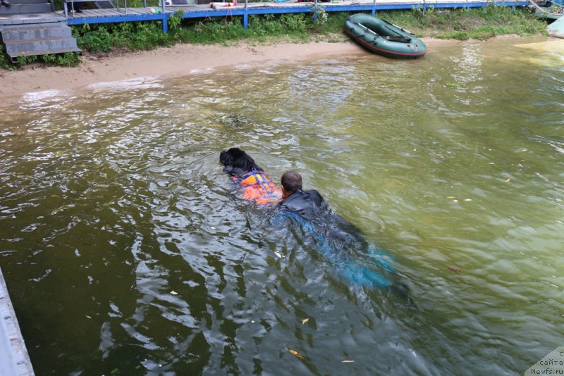 Фотография № 190504