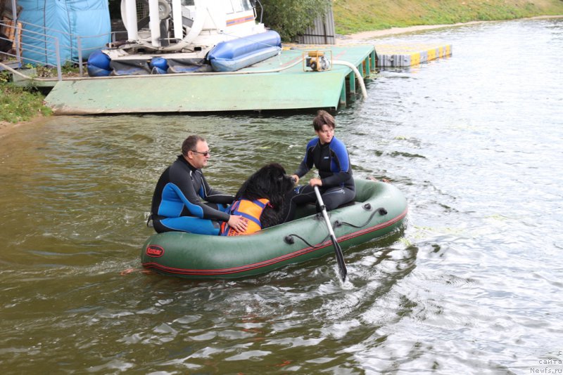 Фотография № 190507