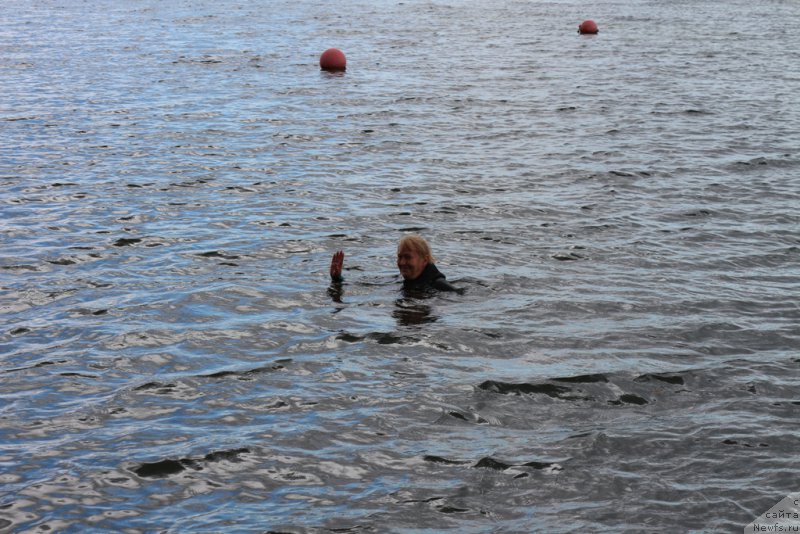 Фотография № 190508