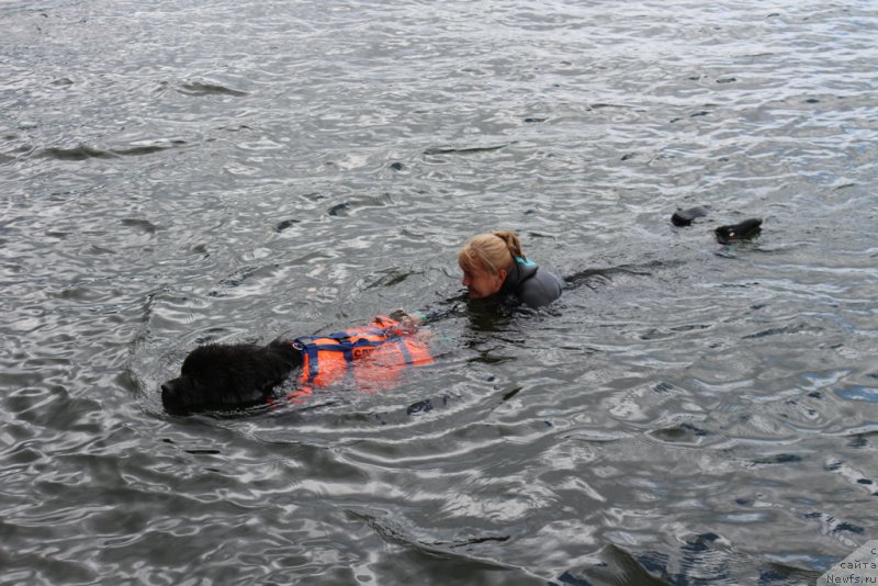 Фотография № 190510