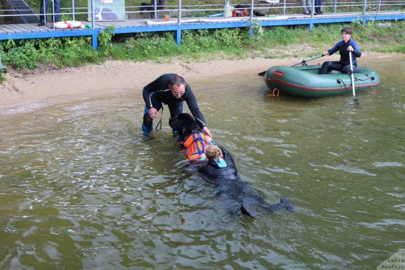 Фотография № 190511