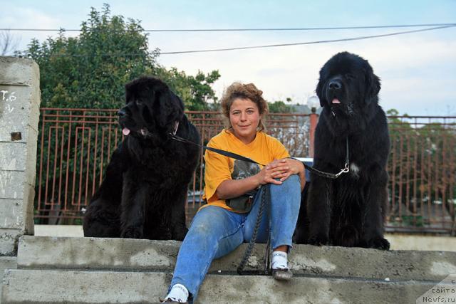 Фотография № 19052