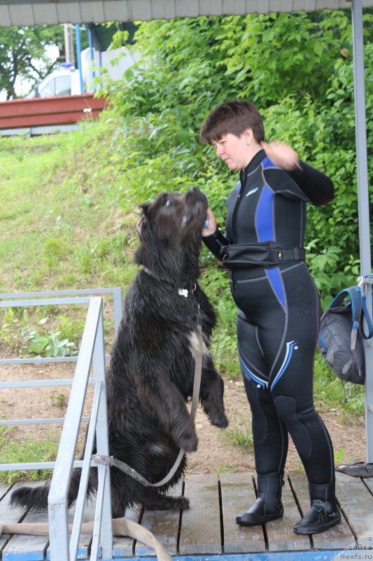 Фотография № 190527